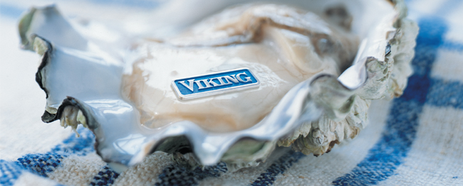 Viking Range: Building The Brand That Became An Icon